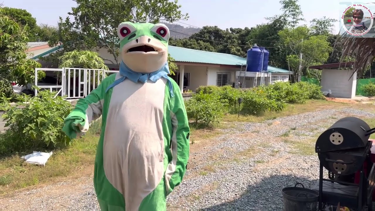 #บ้านสวนโค่กหนองนาจับจักจั่นอัปเดตในแต่ละวันชีวิตเมียฝรั่งมีอะไรตื่นเต้นมากมาย❤️🇹🇭