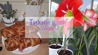 видео: 💗Уютный день со мной: 🌸цветочный балкон, 🐾котик.🥮 вкусный пирог и обновление старого кресла. картинка: 💗Уютный день со мной: 🌸цветочный балкон, 🐾котик.🥮 вкусный пирог и обновление старого кресла.