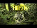 Surviving Day One | The Forest | EP1