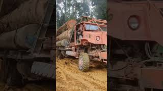 6x6 Logging Trucks #truck #offroad #machinery #timber #truckdrivers #localdriver #mining #excavator