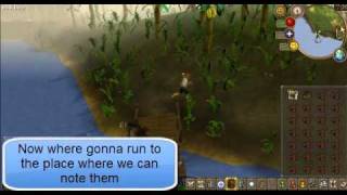 RS: Note Fishing Karamja