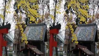 The end of autumn 3D 20111222 4