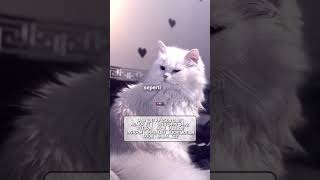 PRESET FF BUAT HIDUPKU LEBIH BERARTI CINTAMU SENYAMAN MENTARI PAGI AESTHETIC
