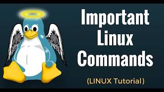 👉 Linux Network Commands | ping, ifconfig, & More Explained Practically 🌐