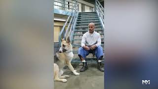 Meet Jimmy! | Marley's Mutts