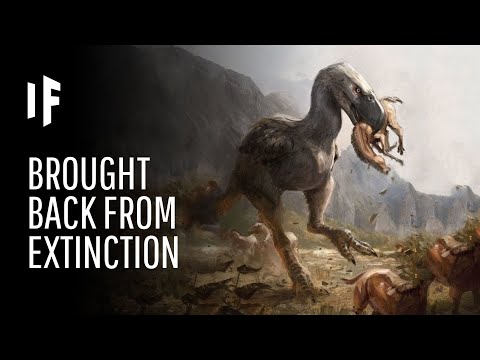 What If Extinct Animals Could Be Brought Back to Life?