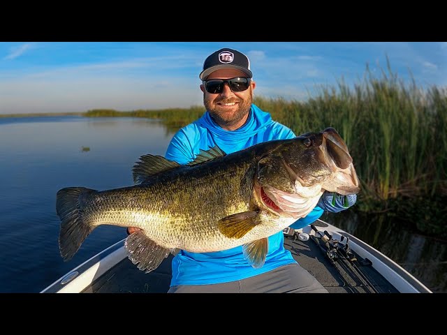 Tim's BIGGEST Florida Bass EVER! Flipping Heavy Cover! 