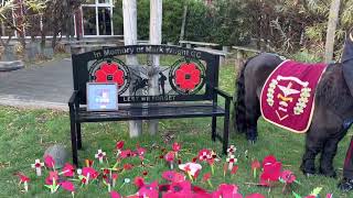 Mark Wright GC Memorial Day - Headteacher Jenny Henessey