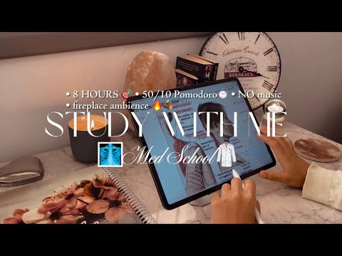 Study With Me The MSS 8 Hrs 50 10 Pomodoro Fireplace Ambience 