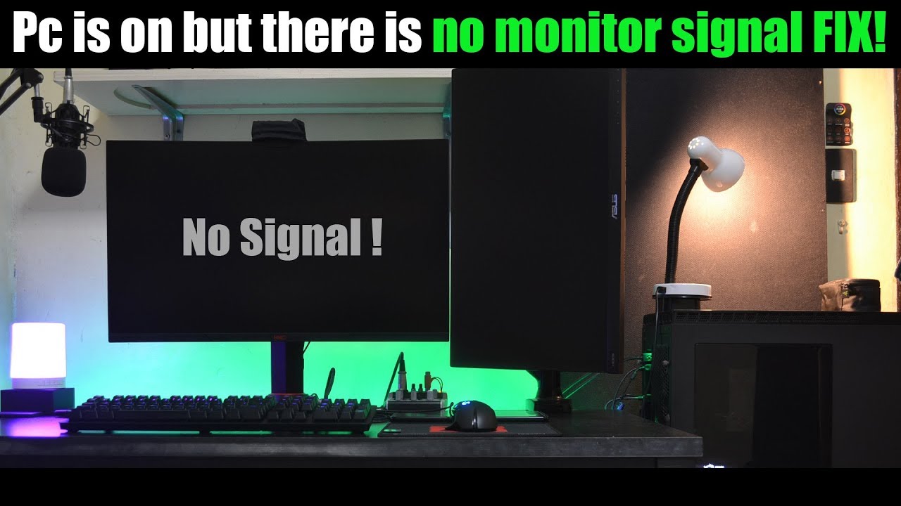 computer says no signal