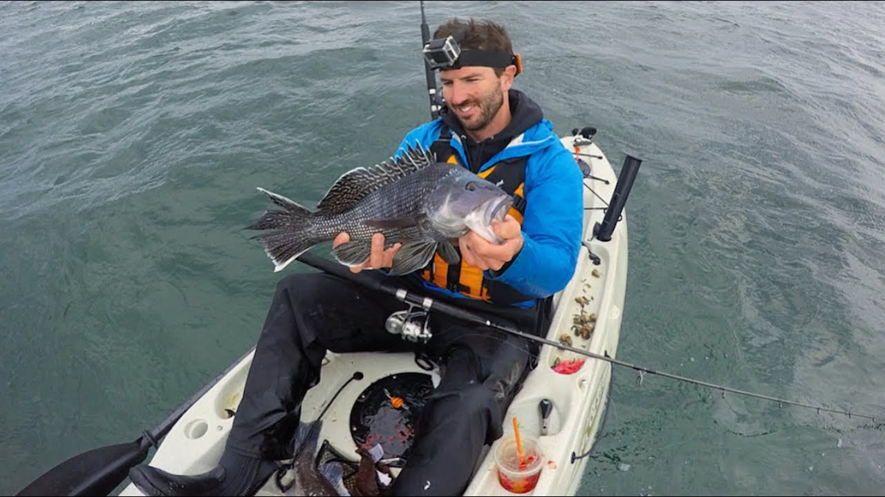 Kayak Fishing Black Sea Bass, Scup & Tautog for Instagram YouTube