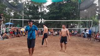 Minh Tàn đôi công chăn phát Dinh quá kich tính xô 50 cây