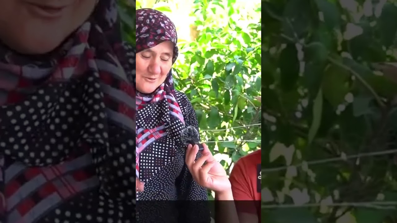 Damat Tatlısının Şaşırtan Hikayesi???? #dünyanıntadı #yemektarifleri