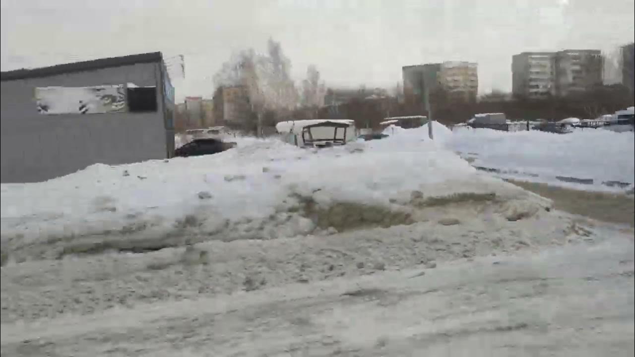 Тобольск автобус 3д. Транспорт тобольск. тобольск автобус 555.