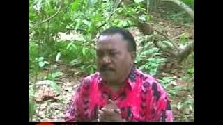 Wilson Wanda : Papua For Jesus