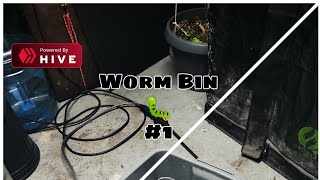 Compost & Worm Bins #1