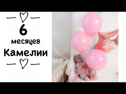 КАМЕЛИИ 6 МЕСЯЦЕВ! Кератин и стрижка / Начало прикорма