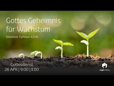 Epheser 4,11-16 /