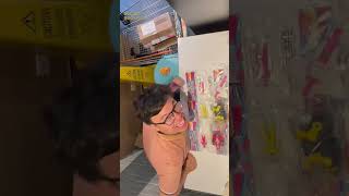 Power Ranger Mighty Morphin The Movie 1995  Mcdonal Toy Pokmon 2022 goldenroostercollection