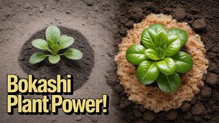 I Ditched Compost for 30 Days — Bokashi Grew My Plants Twice as Fast
