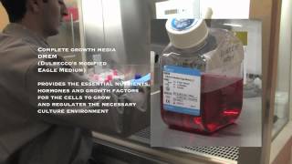 Medical Science: Cell Culture Part 1