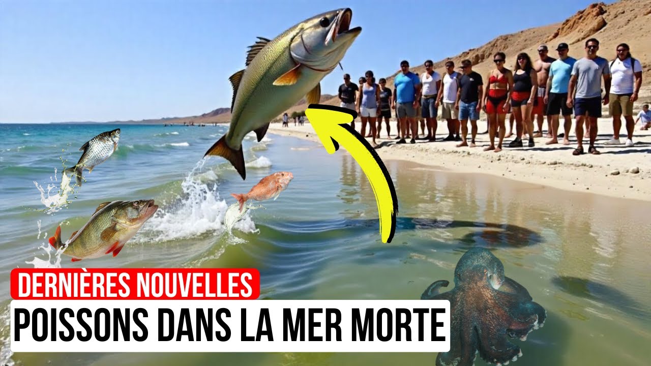 LA PROPHÉTIE S'ACCOMPLIT ! Poissons dans la mer Morte comme indiqué dans la Sainte Bible !