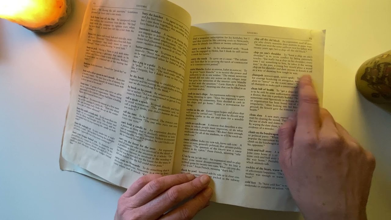 ASMR Book of Cultural Literacy Flip Through ~ Soft Spoken Page Turning