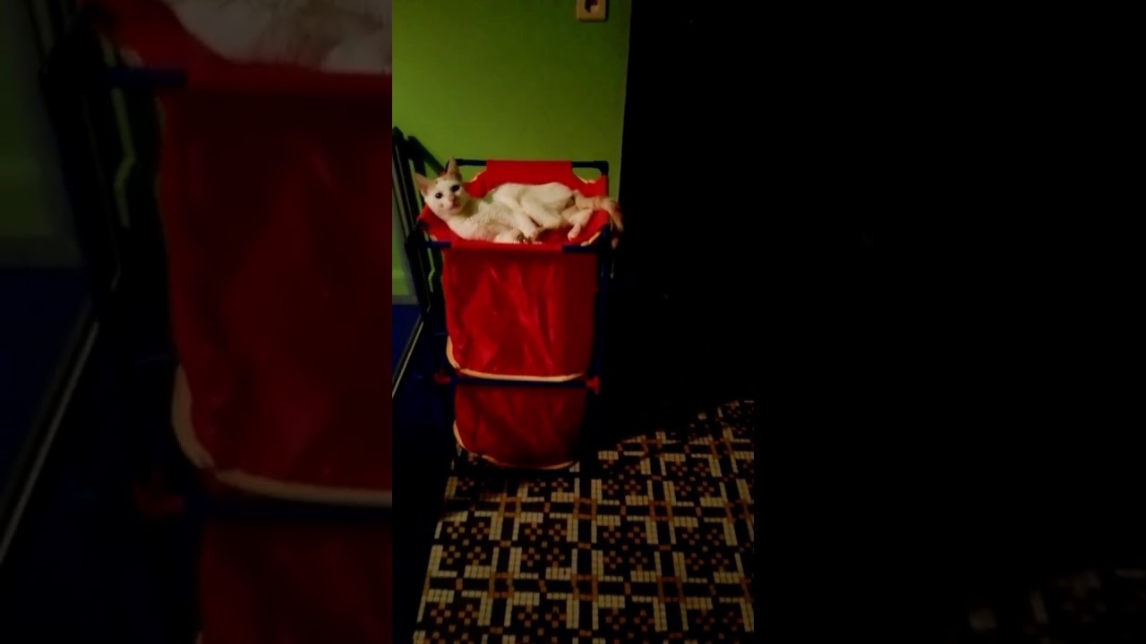 Ataxie-ventje Bruno op het activity-center!