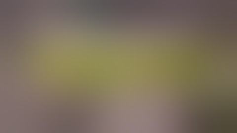 Installing a scrog net in my 2x4 grow tent