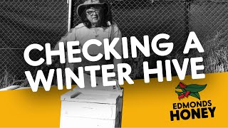 Checking a hive in Winter (Part 1) - Edmonds Honey