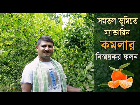 ভিডিও: আলোর বিস্ময়কর বৈচিত্র্য