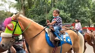 Nathan naik kuda rambut putih | kuda Cisangkuy Bandung | kuda Bandung