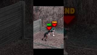 Love How Ksi Cheered Harry On