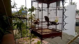 WP 20130125 008