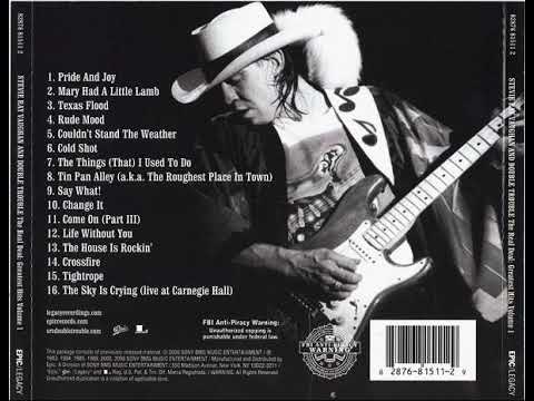 【バンドスコア】The Best Of Stevie Ray Vaughan s-l400.jpg