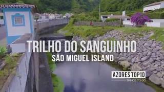 Trilho do Sanguinho, São Miguel | Walking Trails | Azores Top 10 Things To Do