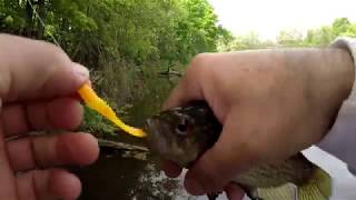 Fishing the Mill Pond - doing some panfishing