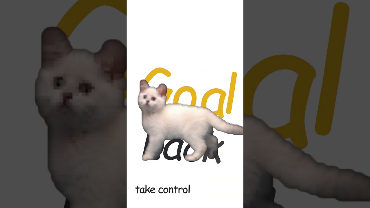 "Can't the future just wait?" (silly cat version?!) ⏳