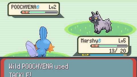 Pokemon Emerald : Part 2 - Battling Brendan