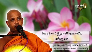Ven Borelle Kovida Thero | 2019-02-19 පූජ්යපාද බොරැල්ලේ කෝවිද හිමිපාණෝ Ven Borelle Kovida Thero | 2019-02-19 පූජ්යපාද බොරැල්ලේ කෝවිද හිමිපාණෝ