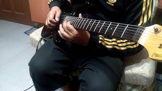 Fernandes THE FUNCTION Strat. MIJ