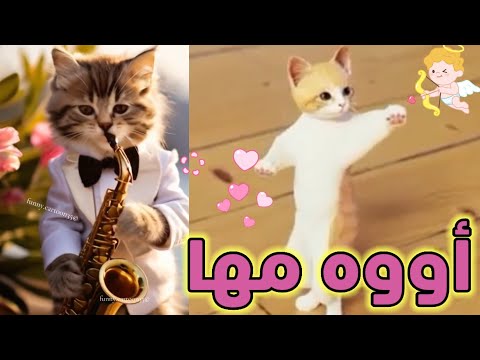 اغنية مها الحلوة اغنية باسم مها السعودية الكويت ابوظبي تركيا العراق قطر مسقط لبحرين الجزائر دبي جده