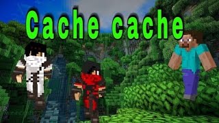 cache cache #3 La Foret