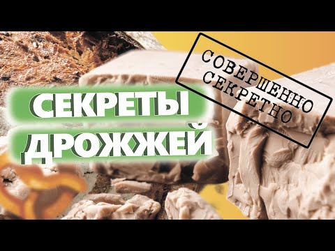 Видео: Какво означава зимология?