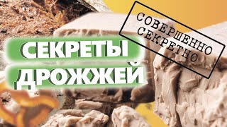 ХЛЕБОПЕКАРНЫЕ ДРОЖЖИ. История, технология производства, рынок дрожжей России.  Денис Машков.