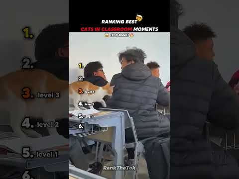 Ranking Best Cars in Classroom Moments!😂😱