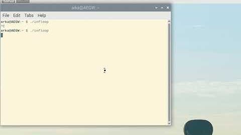 infinite loop cpu 1 core