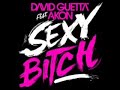 David Guetta feat Akon - Sexy Bitch [ with lyrics ]