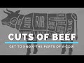 Cuts of Beef (Get to Know the Parts of a Cow)