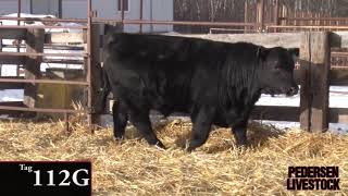 112G - Built Right Bull & Female Sale 2020